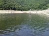 barrage_aigle_arbres_pieges