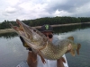 neuvic_brochet_record