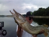 neuvic_brochet_trophe_pose2