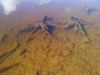 neuvic_souches_eau
