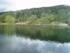 Viewty