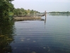 Viewty