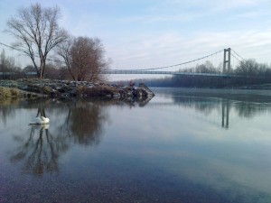 Le rhone à vernaison avec ses anciennes lônes