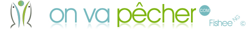 logo du site onvapecher
