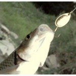 Pêche à la cuillère tournante