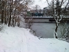 Viewty